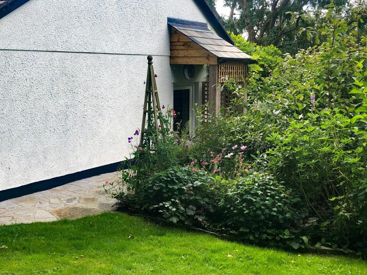Primrose End Villa Bude Kültér fotó