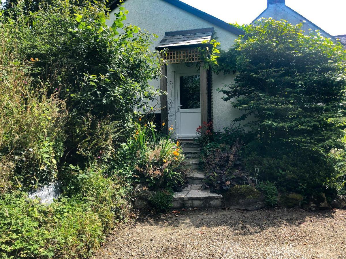 Primrose End Villa Bude Kültér fotó
